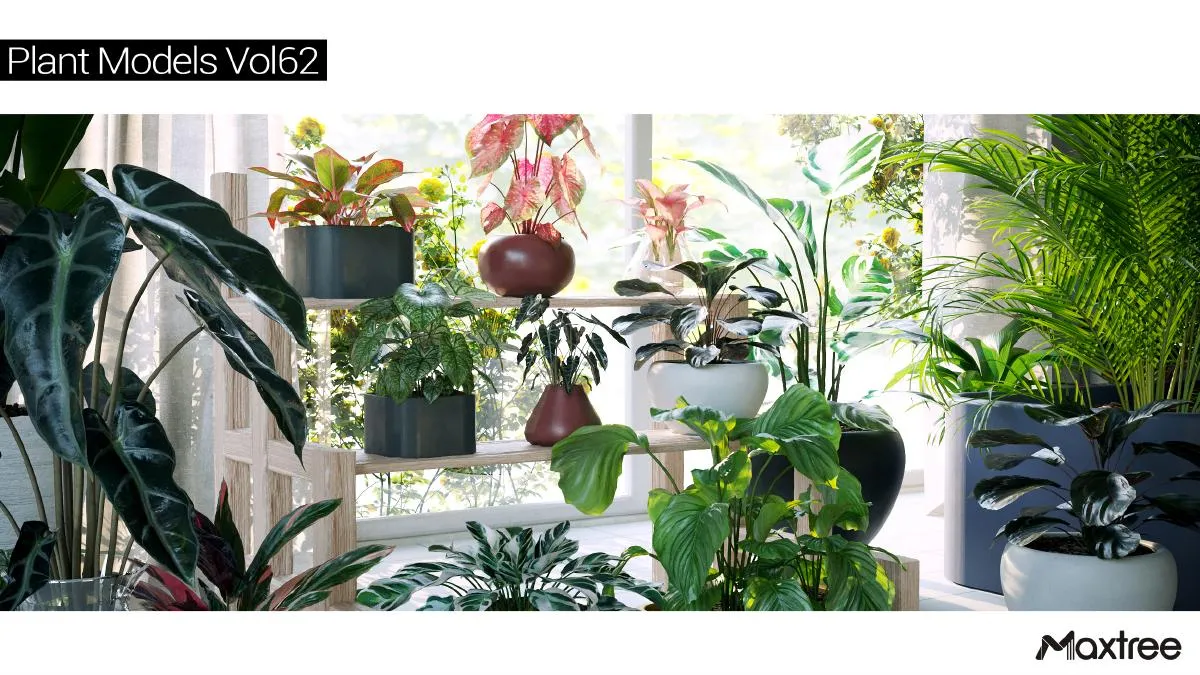 Maxtree Plant Models Vol.62 Maxtree Plant Models Vol.62