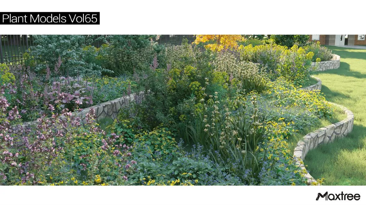 Maxtree Plant Models Vol.65 Maxtree Plant Models Vol.65