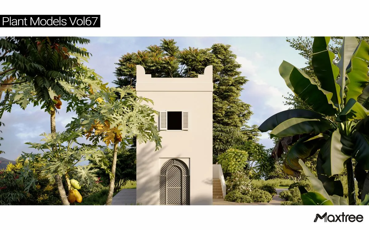 Maxtree Plant Models Vol.67 Maxtree Plant Models Vol.67