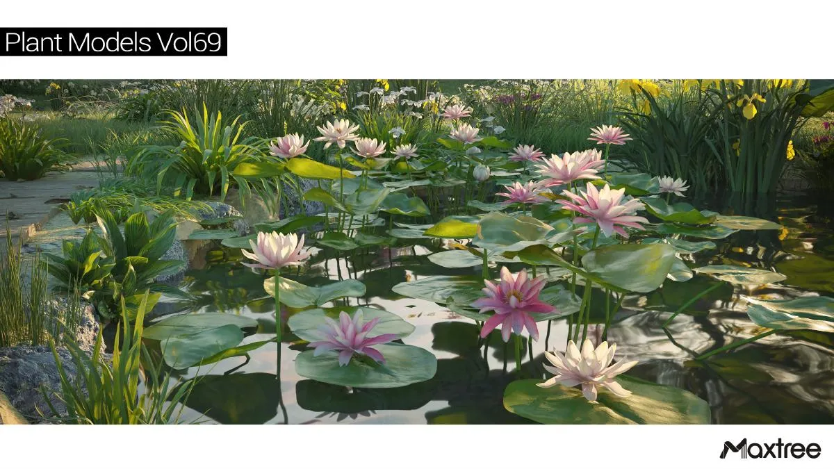 Maxtree Plant Models Vol.69 Maxtree Plant Models Vol.69