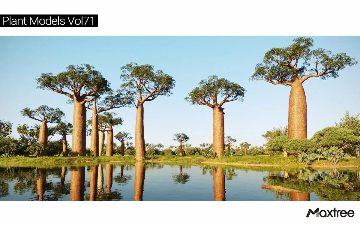 Maxtree Plant Models Vol.71 Maxtree Plant Models Vol.71