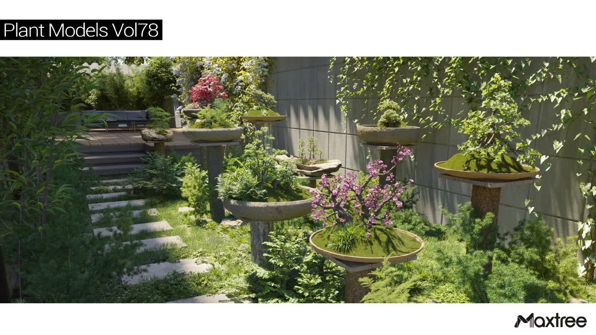 Maxtree Plant Models Vol.78 Maxtree Plant Models Vol.78