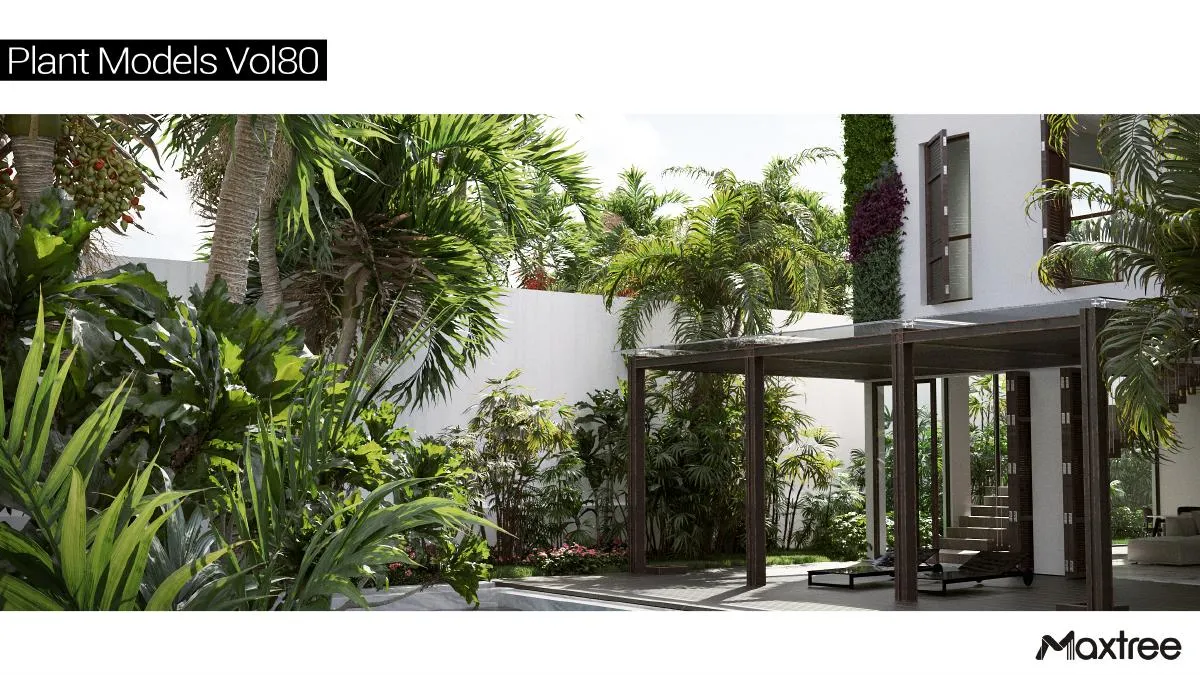 Maxtree Plant Models Vol.80 Maxtree Plant Models Vol.80