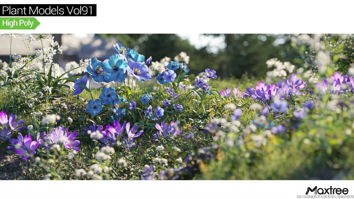 Maxtree Plant Models Vol.91 Maxtree Plant Models Vol.91