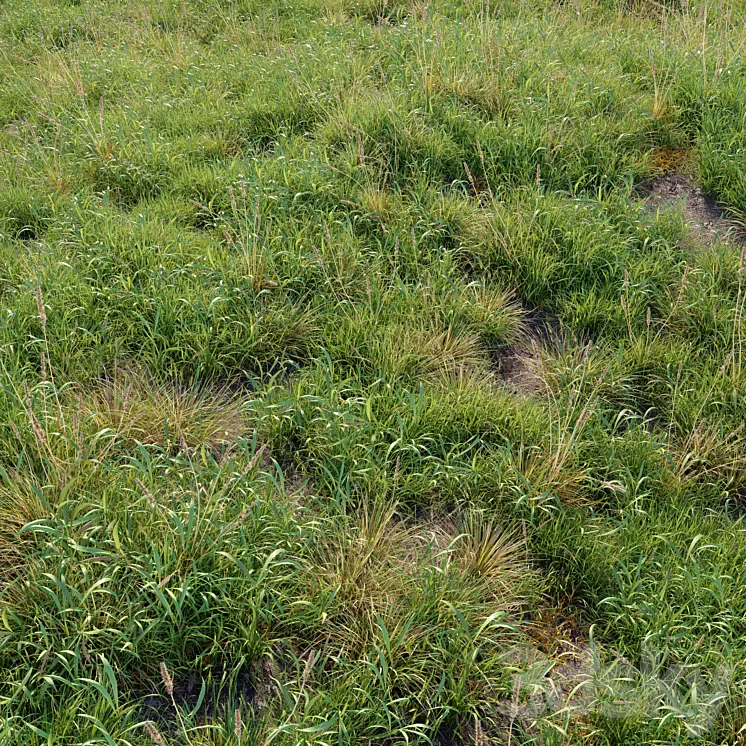 Meadow 09 3D Model Free Download