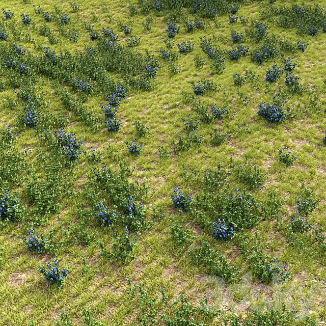 Meadow 2 3D Model Meadow 2 3D Model