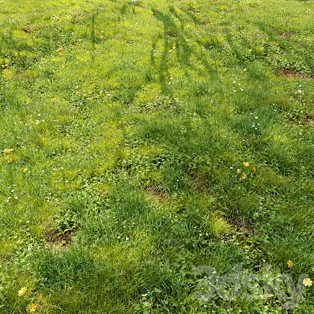 Meadow 3 3D Model Meadow 3 3D Model