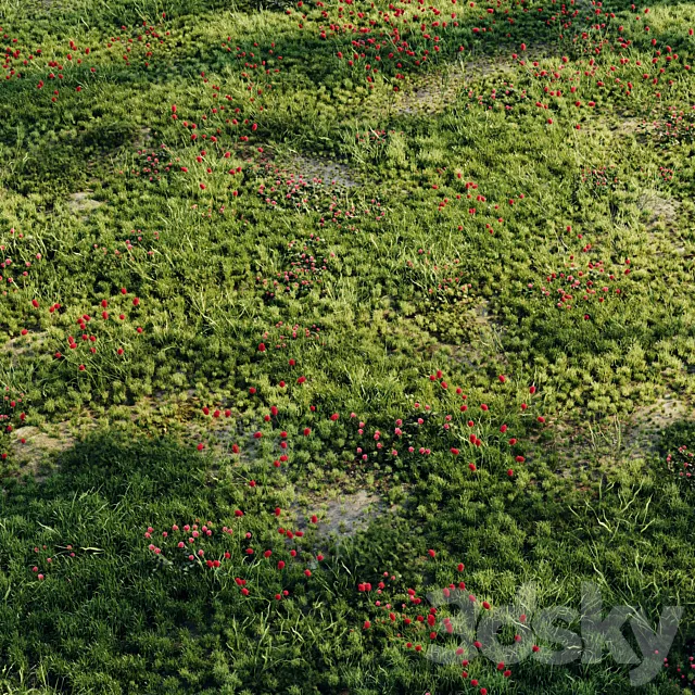 Meadow grass 2 3D Model Meadow grass 2 3D Model