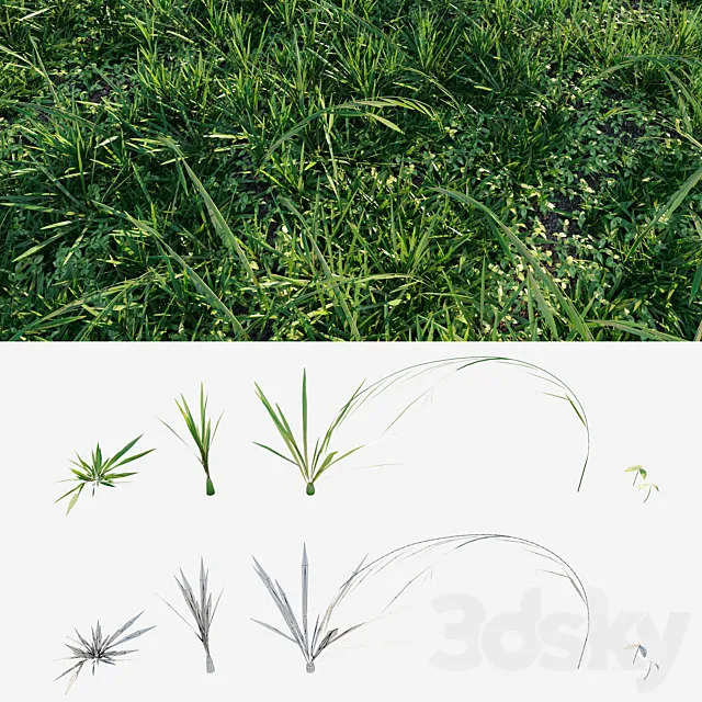 Meadow grass 3D Model Meadow grass 3D Model