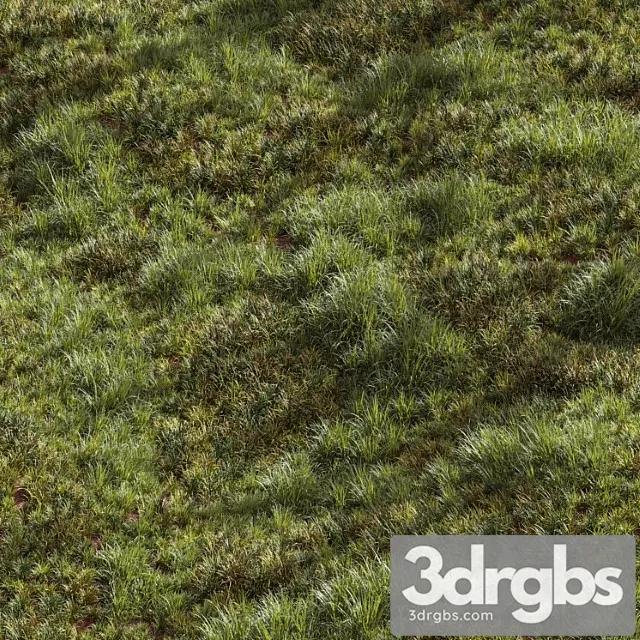 Meadow lawn grassland set 002 Meadow lawn grassland set 002