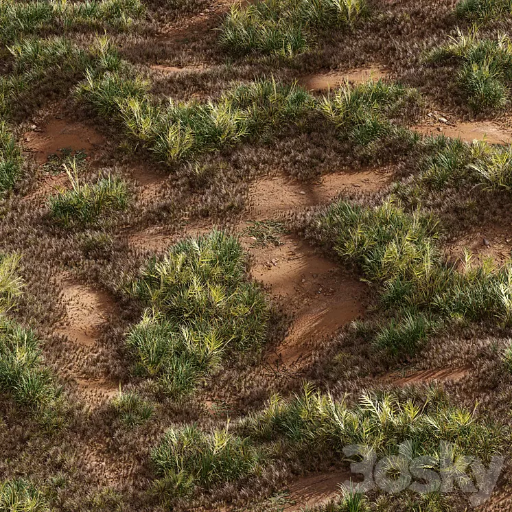 Meadow Lawn Grassland Set 003 3D Model Free Download