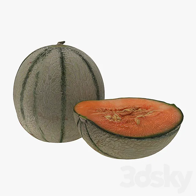 Melon 3DModel Melon 3DModel