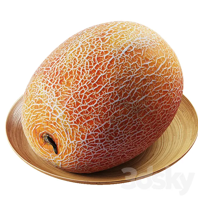 Melon galia_ananas 3DModel