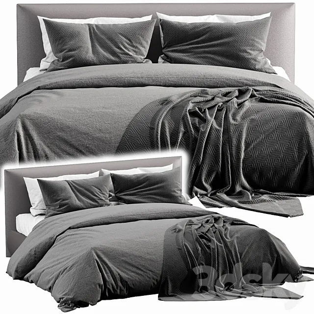 Meridiani Scoot 3DModel Meridiani Scoot 3DModel