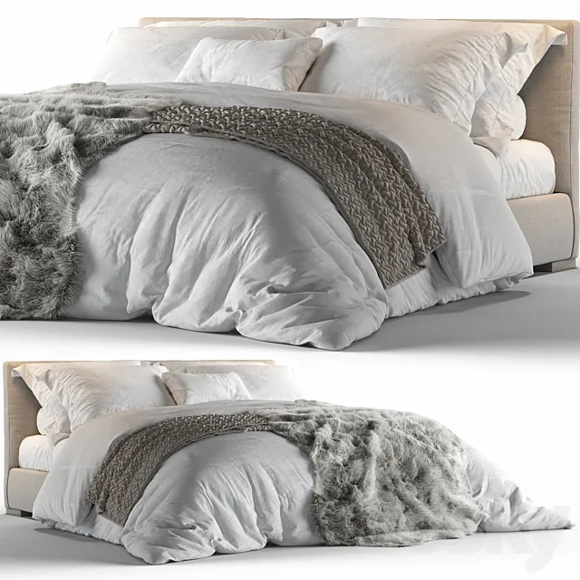 Meridiani stone 3DModel Meridiani stone 3DModel