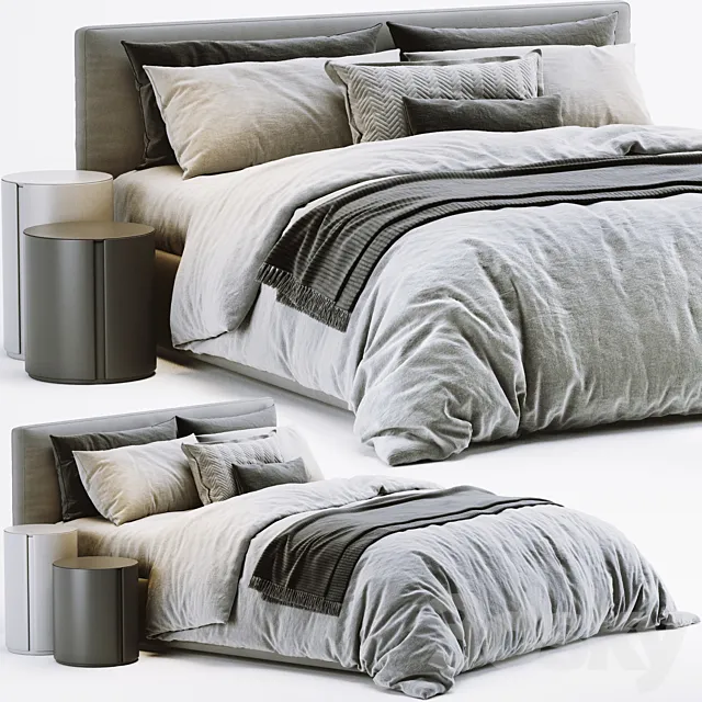 Meridiani Stone Bed 3D Model