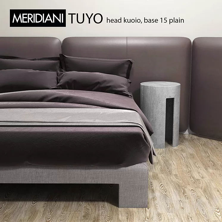 MERIDIANI TUYO head kuoio 3D Model