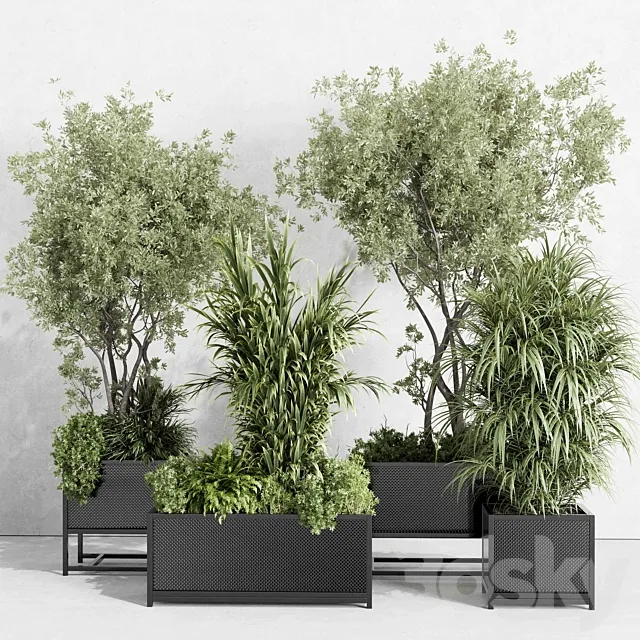 metal box plants on stand – set indoor plant 425 3D Model