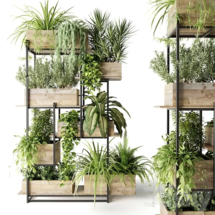 Metal rack with plants in wooden boxes 3D Model Free Download Metal rack with plants in wooden boxes 3D Model Free Download