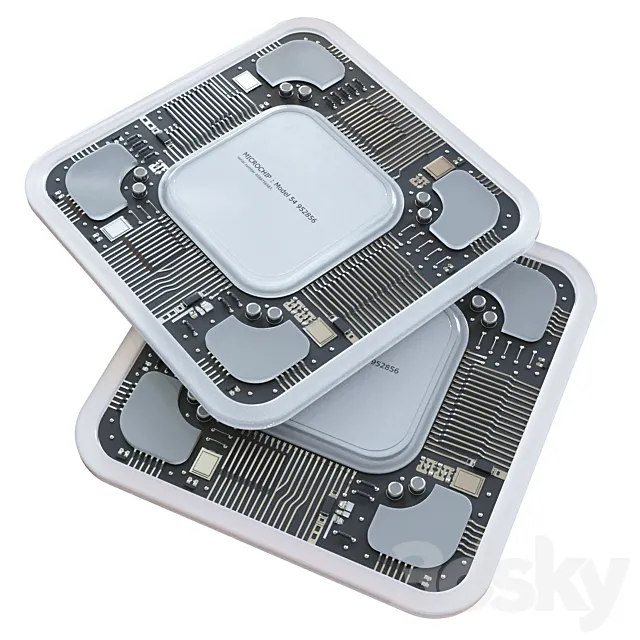 Microchip 3D Model