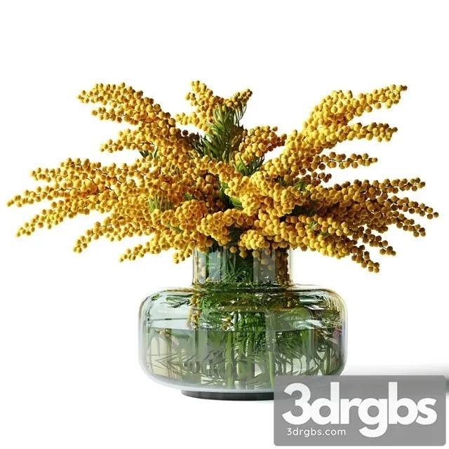 Mimosa In A Low Glass Vase 3D Model Download