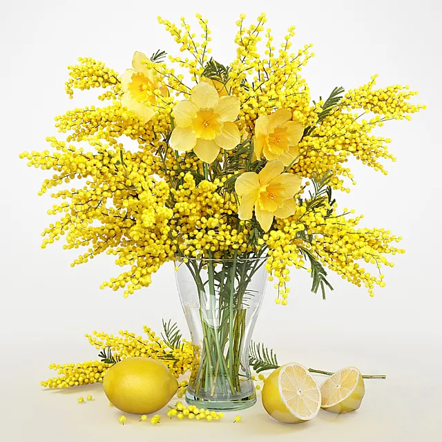 Mimosa_2 3D Model Mimosa_2 3D Model