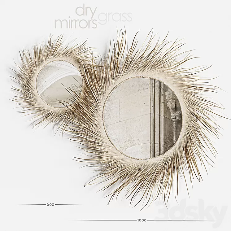 Mirror Dry Grass 3D Model