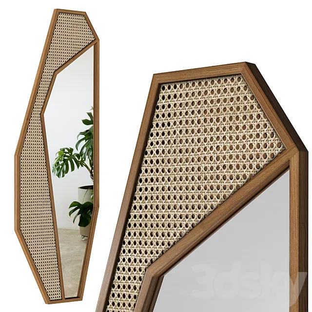 Mirror Rattan Cactus _ Cactus 3D Model