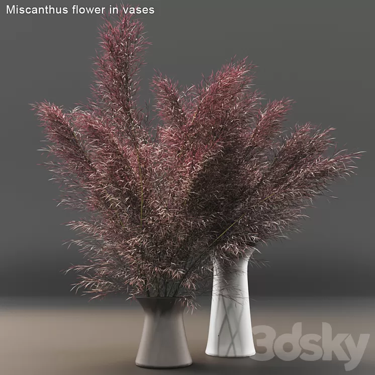 [3DSKY] Miscanthus Flower In Vases 3D Model | NEW UPDATE 2023