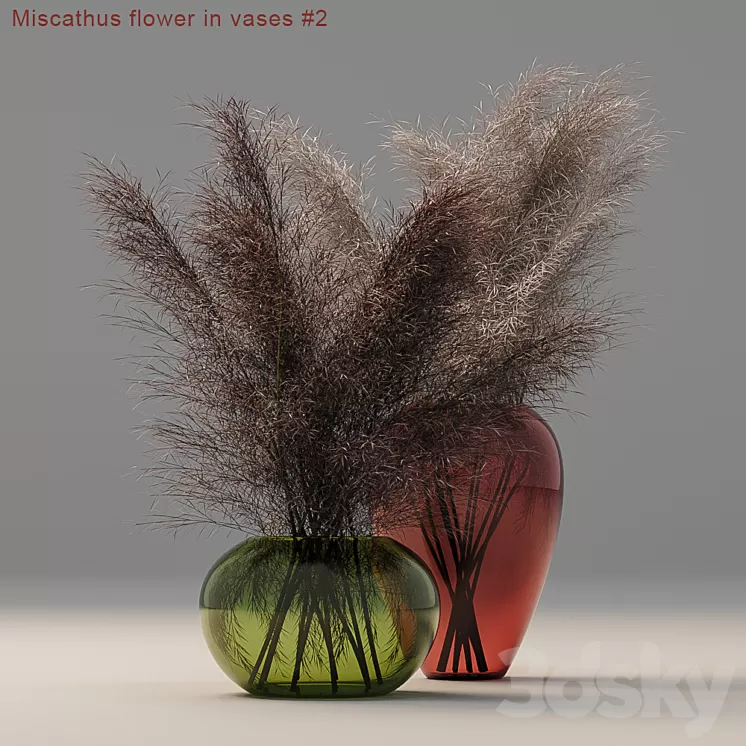 Miscathus flower in vases # 2 3D Model