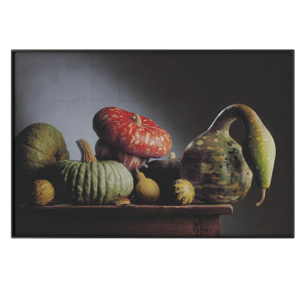 MISSANA – Picture RNC14 3D Model