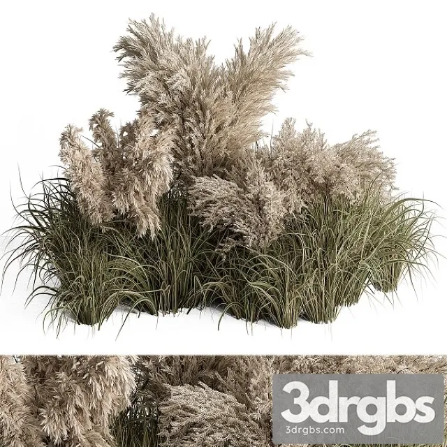 Mixed Pampas Plant Bush Set 95 3D Model Download
