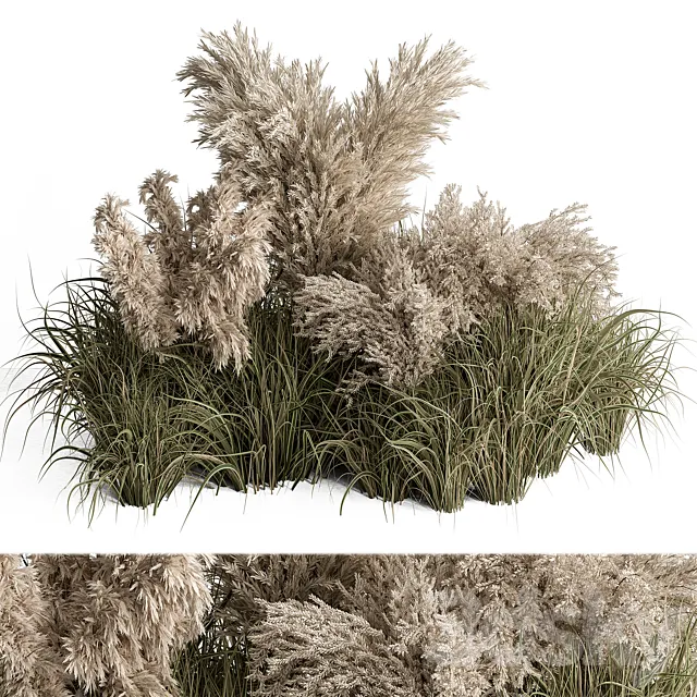 Mixed Pampas Plant Bush Set 95 3DModel