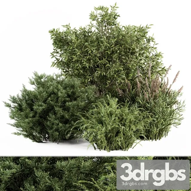 Mixed Plant Bush Bush Set 37 1 3D Model Download