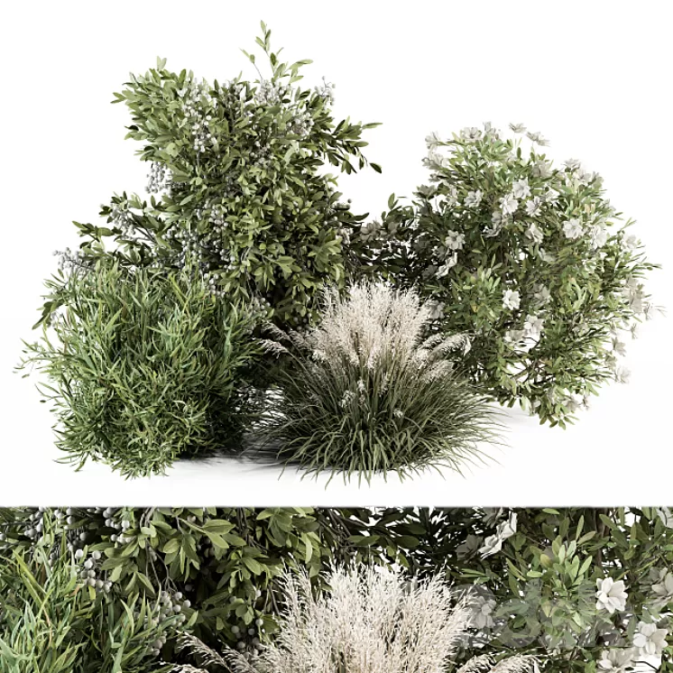 Mixed Plant Bush – Bush Set 49 3D Model Free Download Mixed Plant Bush – Bush Set 49 3D Model Free Download