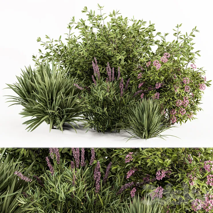 Mixed Plant Bush Green and Purple – Bush Set 50 3D Model Free Download Mixed Plant Bush Green and Purple – Bush Set 50 3D Model Free Download