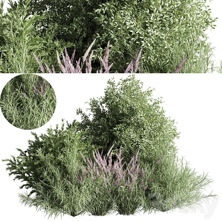 mixed_plant_and_bush_01 3D Model Free Download