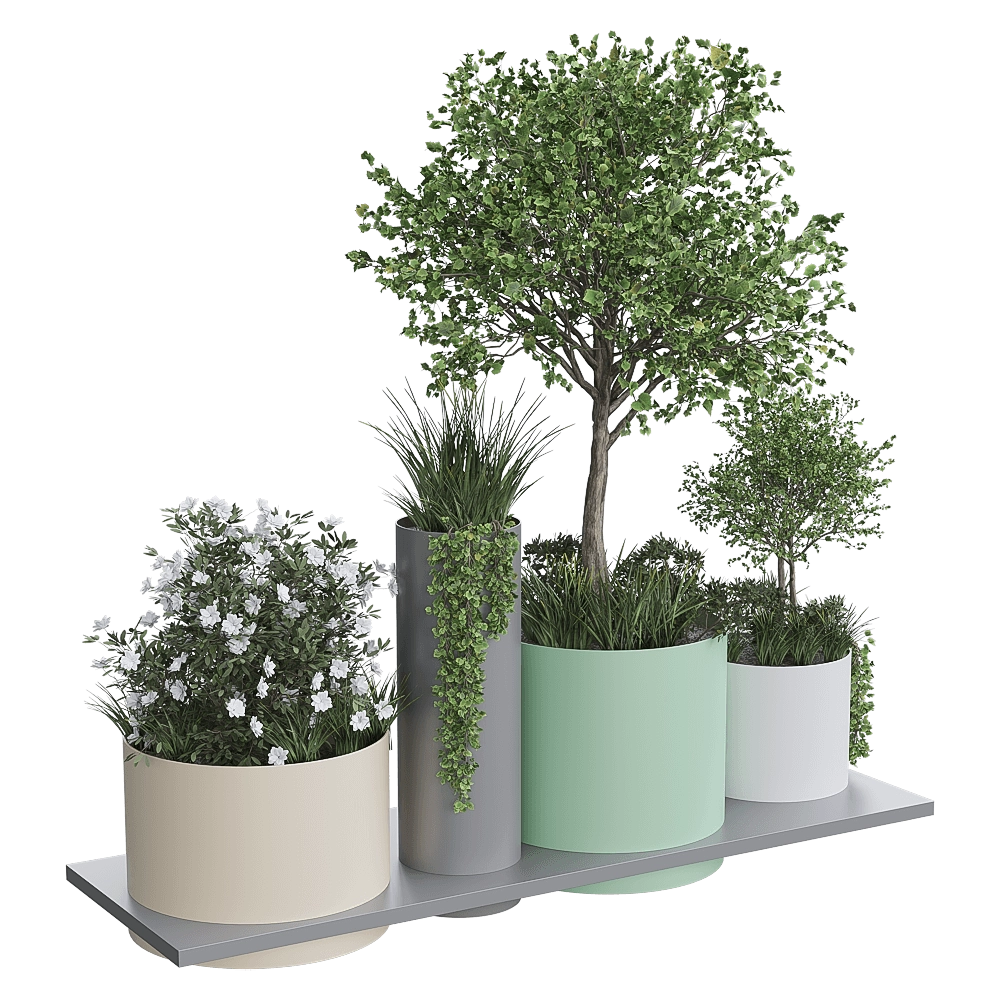 mmcité – Planter Polys 3D Model