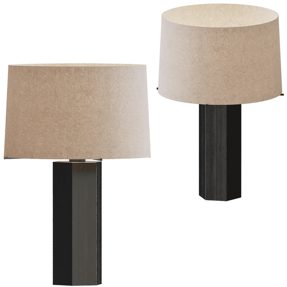 Modenature – Table lamp Carpi 3D Model
