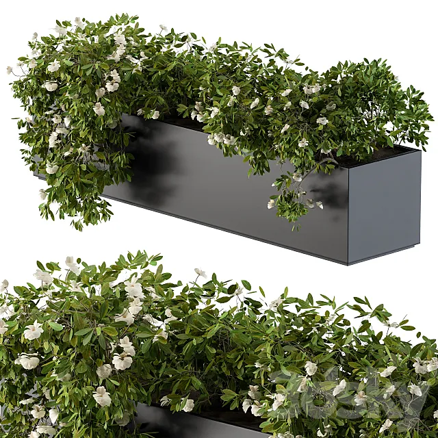 Modern Planter Box White Flower 3D Model Modern Planter Box White Flower 3D Model