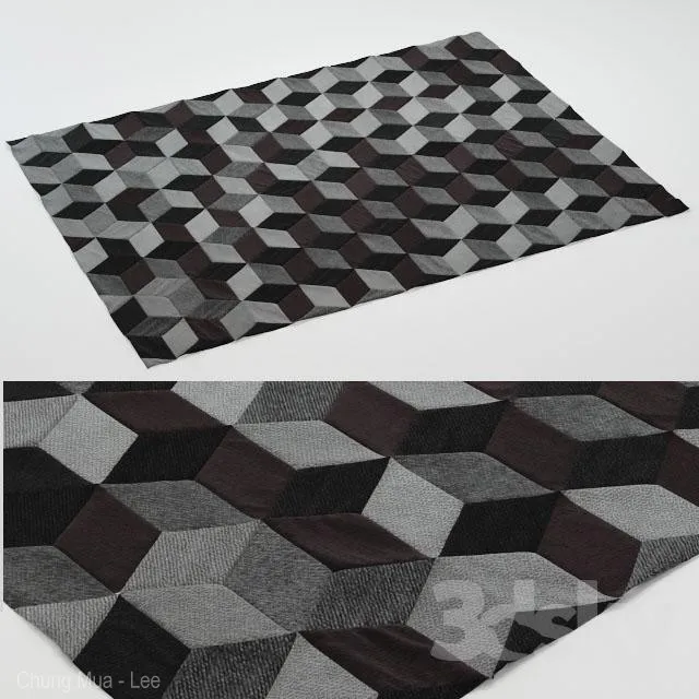 Modern rug 3D Model