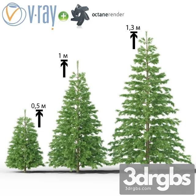 Molodaia Iel 3D Model Download