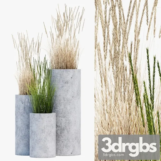 Mone Four 3D Model Download