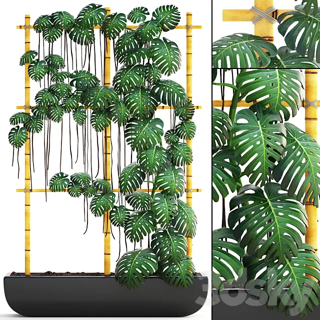 Monstera 7. vertical garden phytowall eco design monstera ornamental bush pot flowerpot 3D Model Monstera 7. vertical garden phytowall eco design monstera ornamental bush pot flowerpot 3D Model
