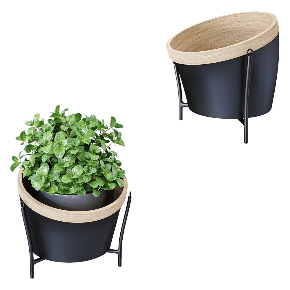 Montly – Planters for flowers MON15 3D Model Montly – Planters for flowers MON15 3D Model