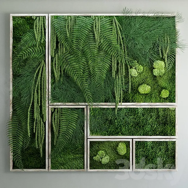 Moss and fern fytowall 3DModel Moss and fern fytowall 3DModel