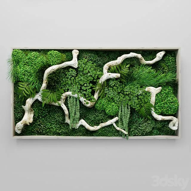 Moss fern and snag fytowall 3D Model Moss fern and snag fytowall 3D Model