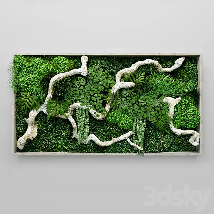Moss fern and snag fytowall 3D Model Moss fern and snag fytowall 3D Model