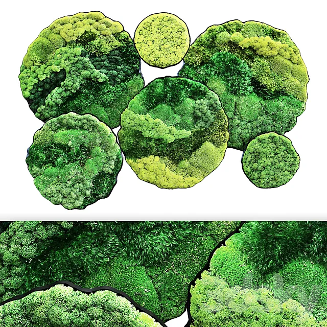 Moss panno 3D Model Moss panno 3D Model