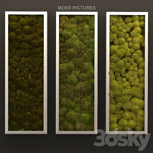 Moss pictures 3D Model Moss pictures 3D Model